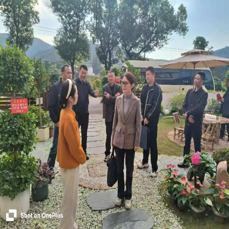 区人大常委会调研我区和美乡村精品示范村建设情况，方萍带队