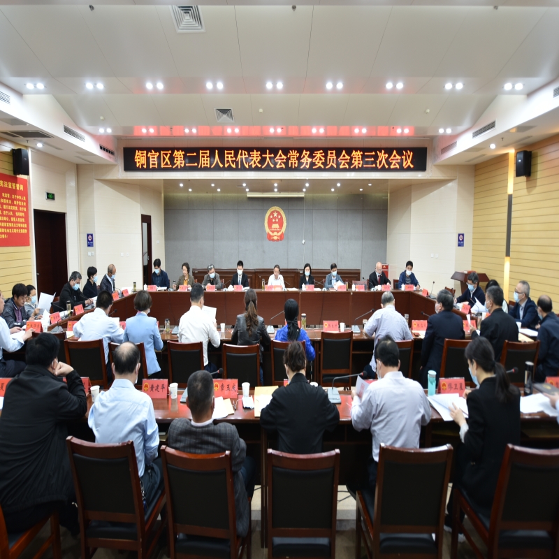 区二届人大常委会举行第三次会议，任命杨治为区监察委员会副主任，决定为代理主任